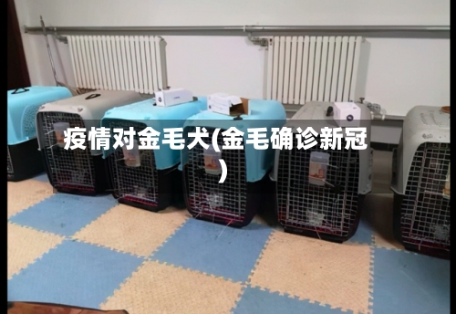 疫情对金毛犬(金毛确诊新冠)