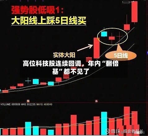高位科技股连续回调，年内“翻倍基”都不见了