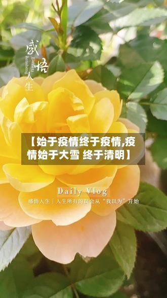 【始于疫情终于疫情,疫情始于大雪 终于清明】