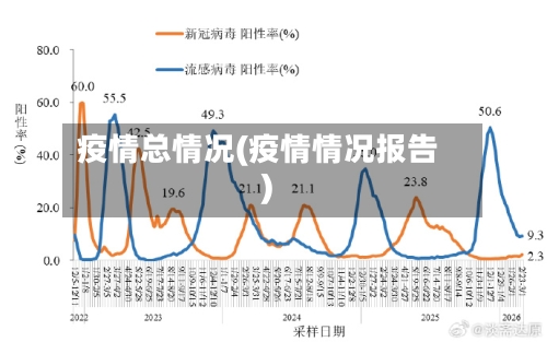 疫情总情况(疫情情况报告)