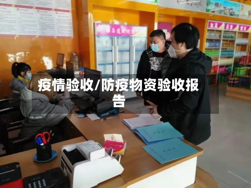 疫情验收/防疫物资验收报告