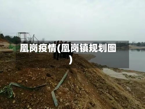 凰岗疫情(凰岗镇规划图)