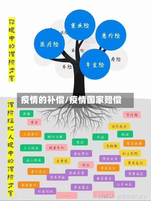 疫情的补偿/疫情国家赔偿