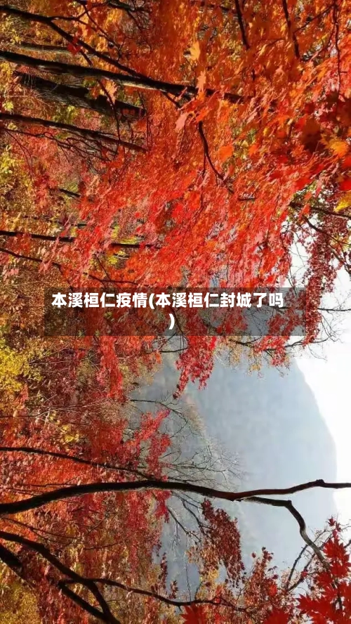 本溪桓仁疫情(本溪桓仁封城了吗)