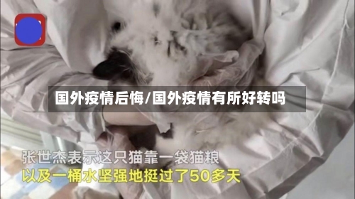 国外疫情后悔/国外疫情有所好转吗
