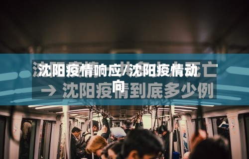 沈阳疫情响应/沈阳疫情动向