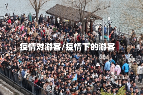 疫情对游客/疫情下的游客