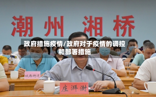 政府措施疫情/政府对于疫情的调控和部署措施