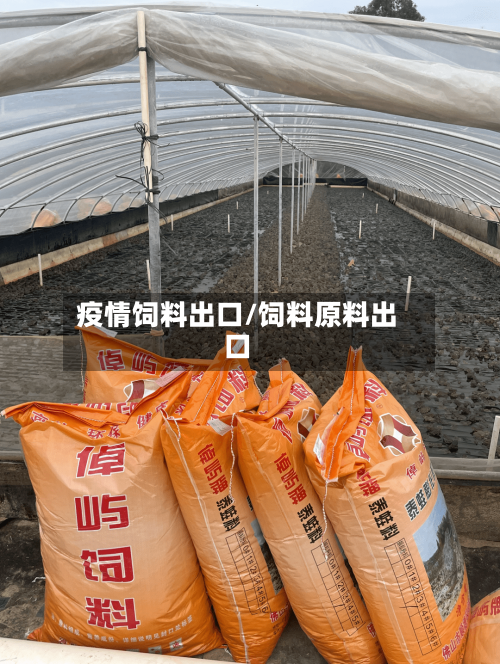 疫情饲料出口/饲料原料出口