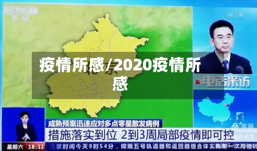 疫情所感/2020疫情所感