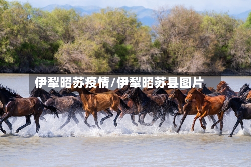 伊犁昭苏疫情/伊犁昭苏县图片