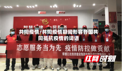 共同疫情/共同疫情期间形容各国共同抵抗疫情的词语