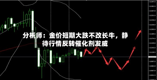 分析师：金价短期大跌不改长牛，静待行情反转催化剂发威