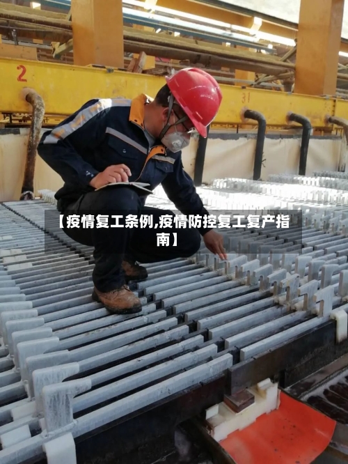 【疫情复工条例,疫情防控复工复产指南】
