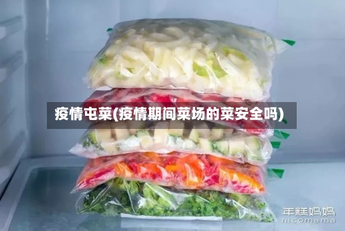 疫情屯菜(疫情期间菜场的菜安全吗)