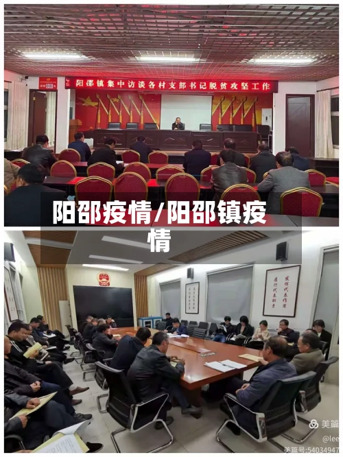 阳邵疫情/阳邵镇疫情