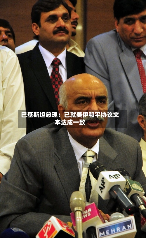 巴基斯坦总理：已就美伊和平协议文本达成一致