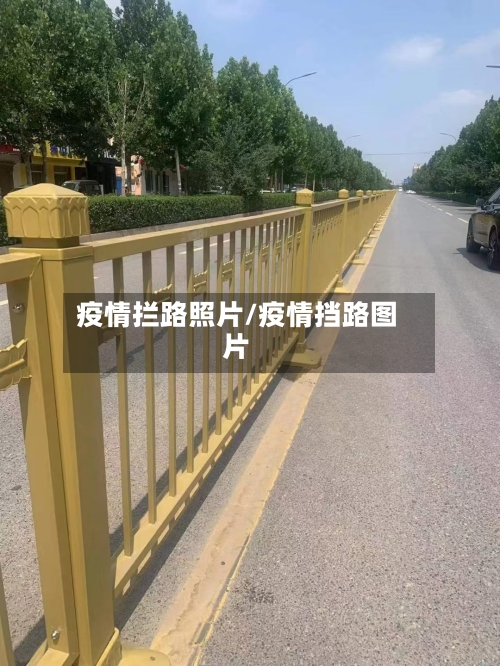 疫情拦路照片/疫情挡路图片