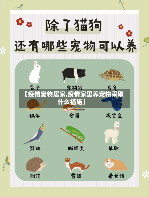 【疫情宠物居家,疫情家里养宠物采取什么措施】