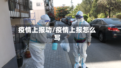 疫情上报功/疫情上报怎么写