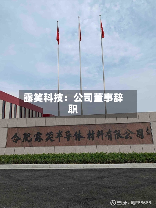 露笑科技:公司董事辞职