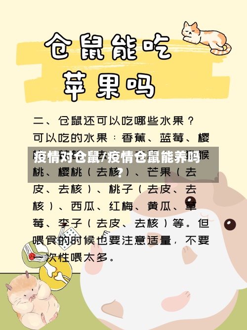 疫情对仓鼠/疫情仓鼠能养吗?
