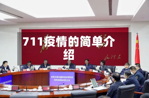 711疫情的简单介绍