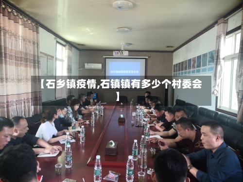 【石乡镇疫情,石镇镇有多少个村委会】