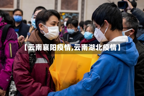 【云南襄阳疫情,云南湖北疫情】