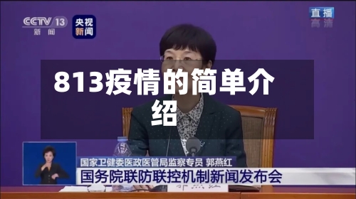 813疫情的简单介绍