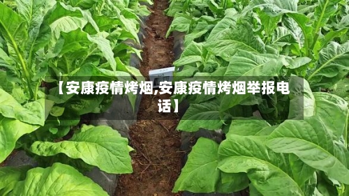 【安康疫情烤烟,安康疫情烤烟举报电话】