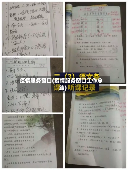 疫情服务窗口(疫情服务窗口工作总结)