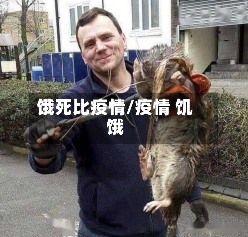 饿死比疫情/疫情 饥饿