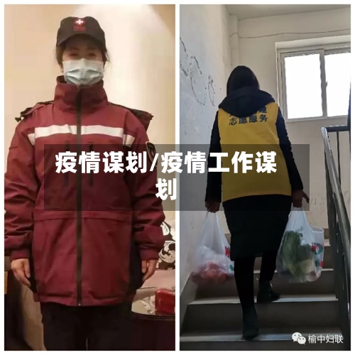 疫情谋划/疫情工作谋划