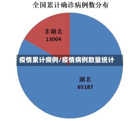 疫情累计病例/疫情病例数量统计