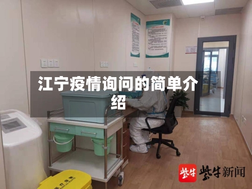 江宁疫情询问的简单介绍
