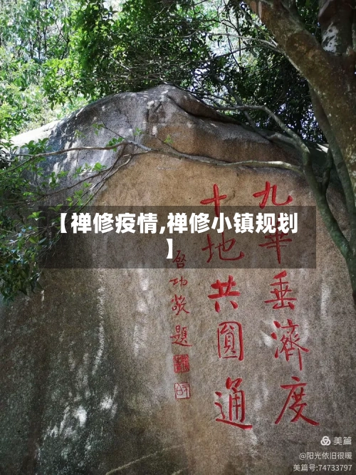 【禅修疫情,禅修小镇规划】