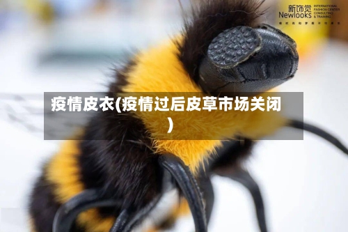 疫情皮衣(疫情过后皮草市场关闭)