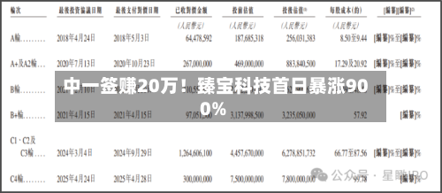 中一签赚20万！臻宝科技首日暴涨900%