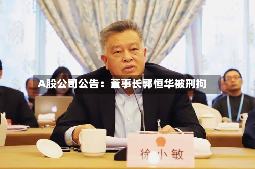 A股公司公告：董事长郭恒华被刑拘