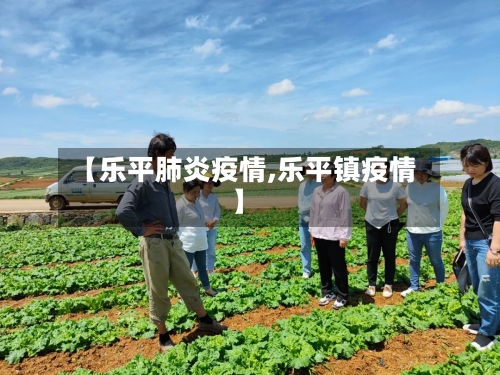 【乐平肺炎疫情,乐平镇疫情】
