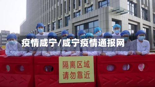 疫情咸宁/咸宁疫情通报网