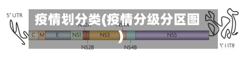 疫情划分类(疫情分级分区图)