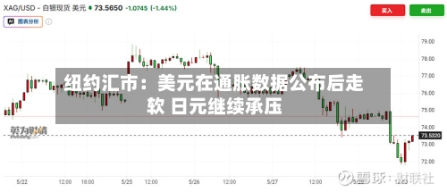 纽约汇市：美元在通胀数据公布后走软 日元继续承压
