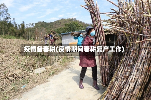 疫情备春耕(疫情期间春耕复产工作)