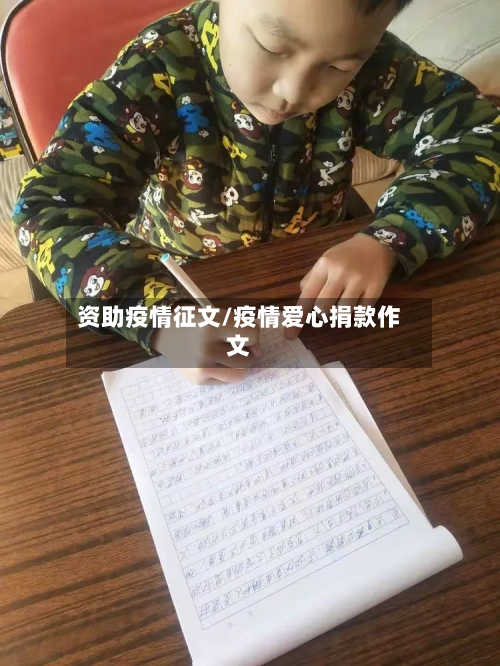 资助疫情征文/疫情爱心捐款作文