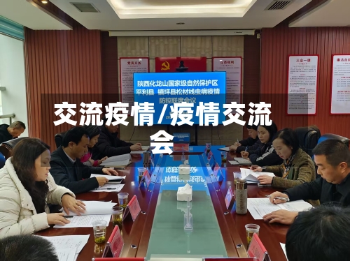 交流疫情/疫情交流会