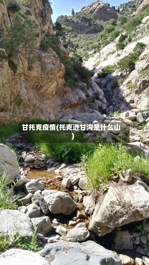 甘托克疫情(托克逊甘沟是什么山)