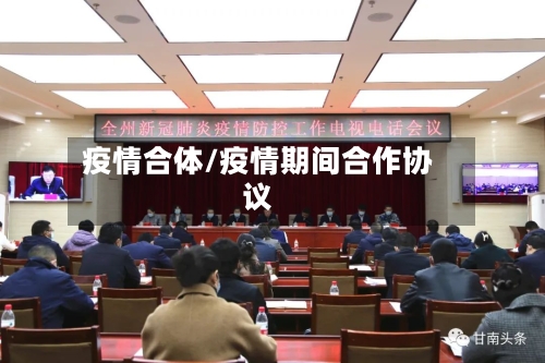 疫情合体/疫情期间合作协议