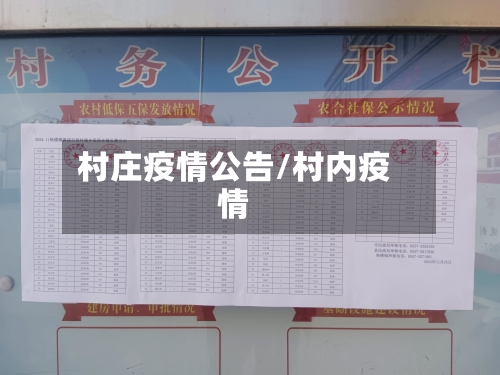 村庄疫情公告/村内疫情